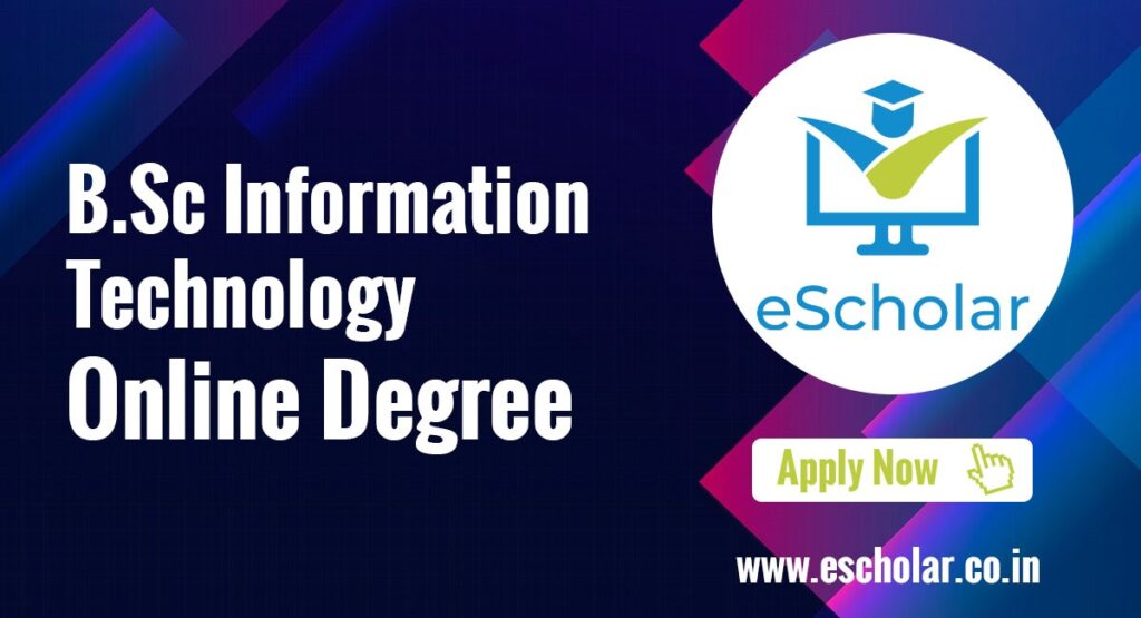 B.Sc Information Technology course