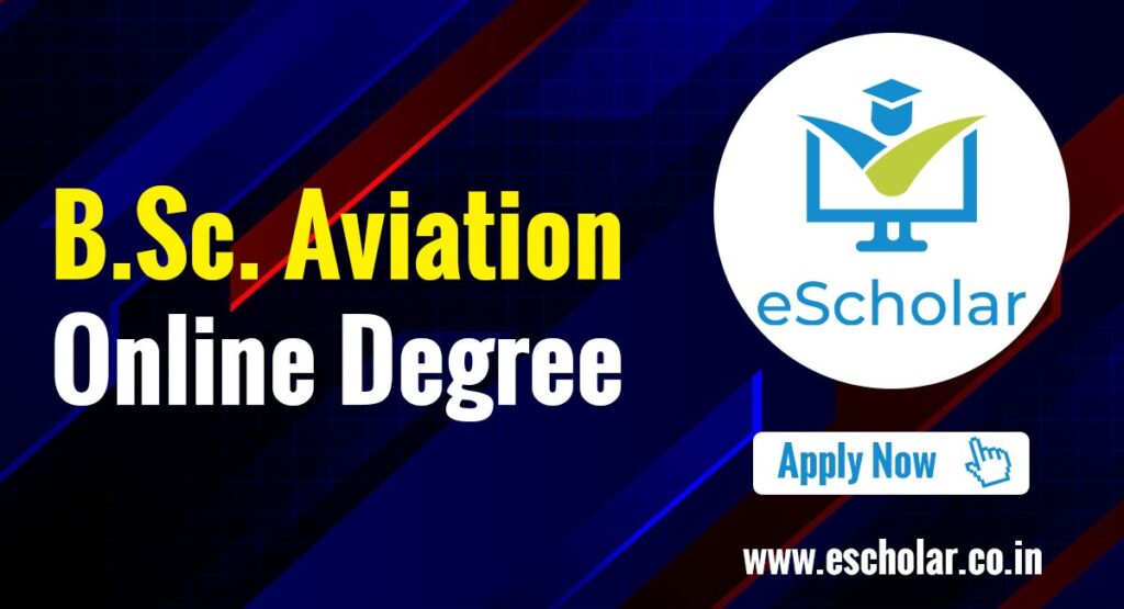 B.Sc Aviation degree