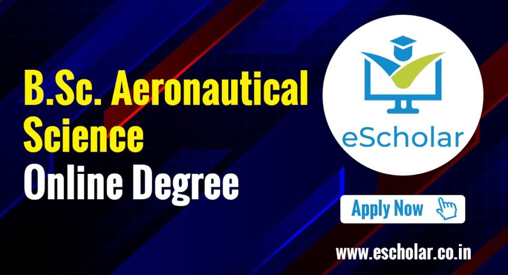 B.Sc Aeronautical Science degree
